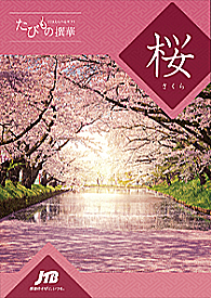 たびもの撰華「桜」