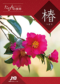 たびもの撰華「椿」